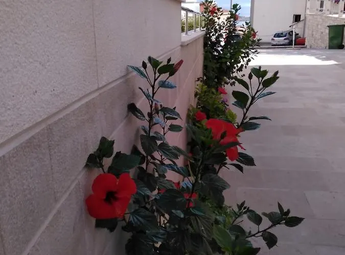 Sea View מאקרסקה