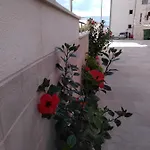 Sea View Makarska