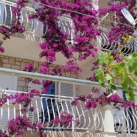 Sea View 3* Μακάρσκα