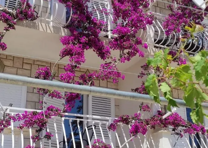 Sea View 3* Μακάρσκα